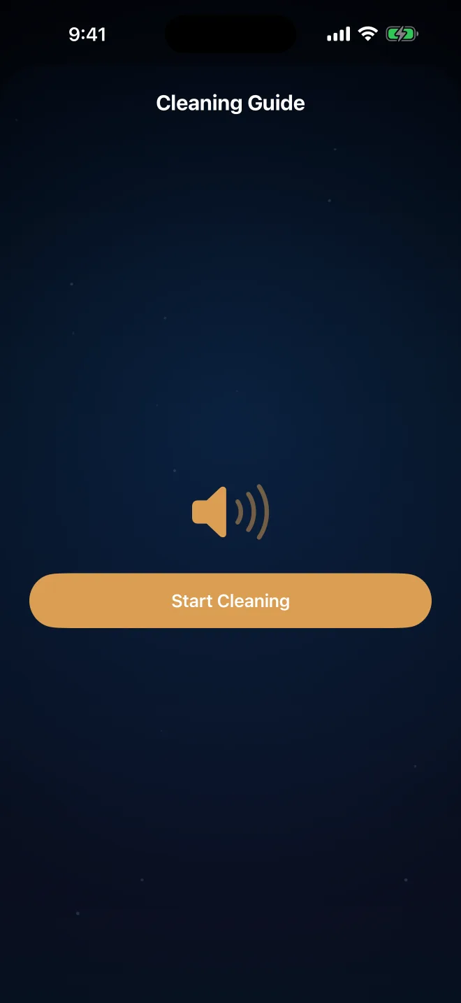 Step-by-step cleaning guide